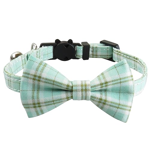 Collar de gato con pajarita para paseos y fotos familiares con gatitos y cachorros 2