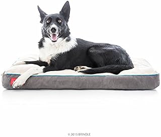 BRINDLE Soft Memory Foam Dog Bed with Removable Washable Cover - 34in x