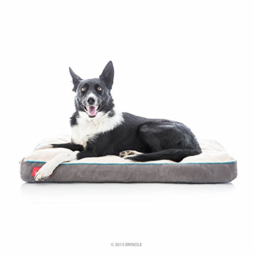 Brindle Khaki Shredded Memory Foam Dog Bed - Pet Essentials - Orthopedic Design - Crate Compatible - Machine Washable Cover - Indoor Pet Bed for Dogs, Puppies, Cats, and Rabbits - Size Medium 34 x 22