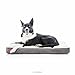 BRINDLE Soft Memory Foam Dog Bed with Removable Washable Cover - 34in x 22in - Khaki