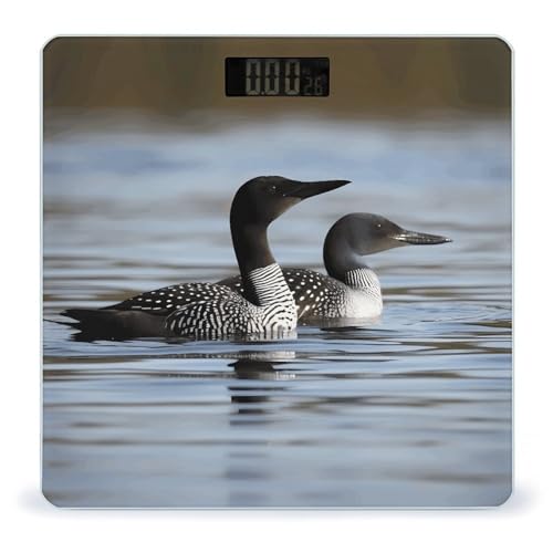 Loon Birds báscula digital peso corporal, hasta 180kg
