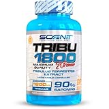 TRIBU 1800-1800 mg de Tribulus Terrestris por dosis diaria con 90% Saponinas - Precursor de Testosterona - 120 cápsulas vegetales