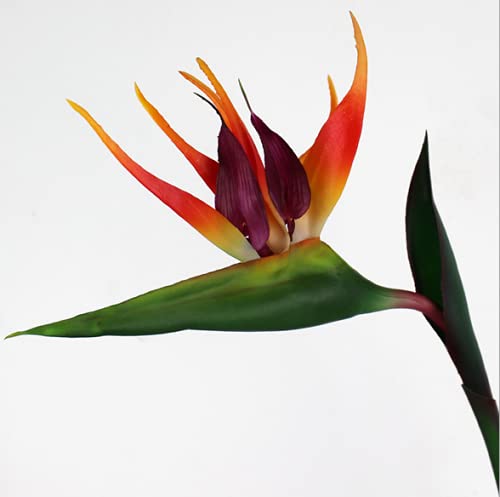 3 Pcs Large Bird Of Paradise 32 Inch Permanent Flower,Uv Resistant No Fade Flower Part Is Made Of Soft Rubber Pu,Artificial Flower Plants For Home Office,Flower Stem 1/2 Inch,Orange Red #TOP6