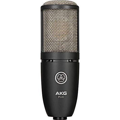 Akg 3101H00420 Project Studio P220 Large Diaphragm Condenser Microphone thumb #2