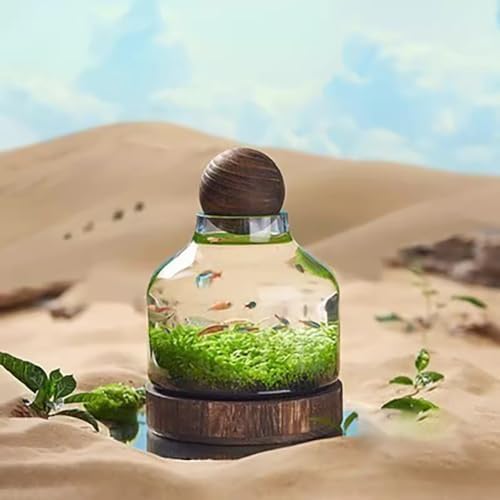 MegLob Glass Aquarium with Wooden Base, Microecosphere