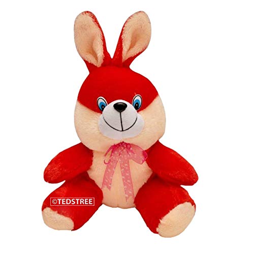TEDSTREE Skin Friendly Ultra Soft 35 cm Rabbit Soft Toys Animal Plush Toy, Stuffed Lovable Huggable Cute Soft Toy for Kids/Girls/Boys Birthday Gift (Red Color)