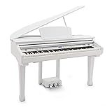 Realistic feel from 88 weighted keys with touch response Split, Layer and Effects for Experimenting With Your Sound 55 Play Along Songs to Help Build Technique Multitrack Recorder for Saving Your Performances