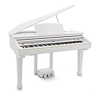 Realistic feel from 88 weighted keys with touch response Split, Layer and Effects for Experimenting With Your Sound 55 Play Along Songs to Help Build Technique Multitrack Recorder for Saving Your Performances
