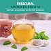 HANDPICK Té De Menta Verde Imagen de HANDPICK Té De Menta Verde