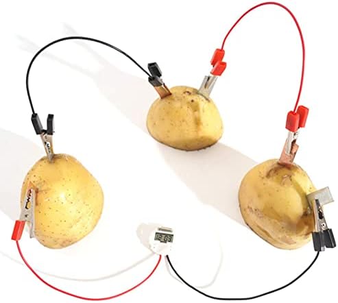 Marvellous Electric Circuit Motor Kit,Electricity Kits for Kids Plastic Metal Fruit Battery Science Experiment Kit 5.9 inch Learning Kits Set for School Science Project