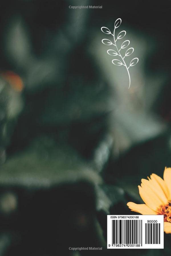 Miniatura 2 de REJECTED, SHAMED AND BLAMED (SCAPEGOAT ROLE) Help and Hope The Ultimate Guide to Overcoming Toxic & Unhealthy Relationships, Emotional Abuse & Break