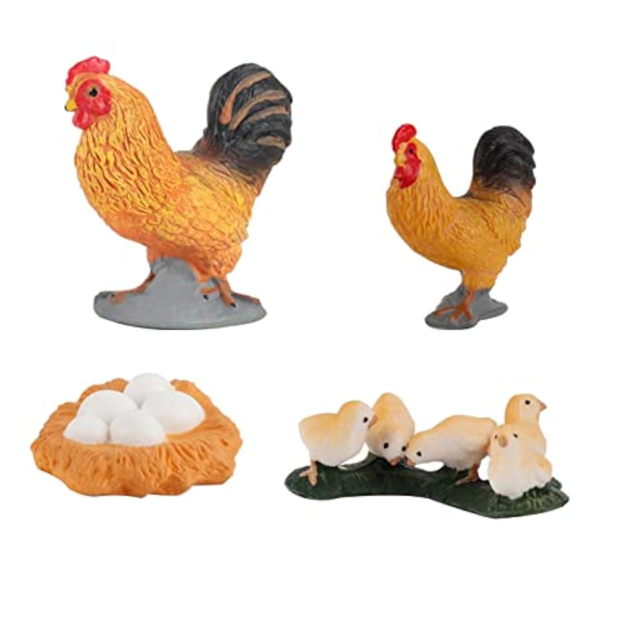ABS Chicken Life Cycle Educational Learning Toy