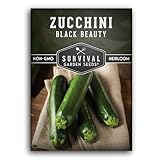 Tender Delicious Zucchini - Grow prolific Black Beauty Zucchini plants from these heirloom, open-pollinated seeds. This popular summer squash variety was an All-America Selections winner in 1957 for its abundant production of straight dark green zucc...