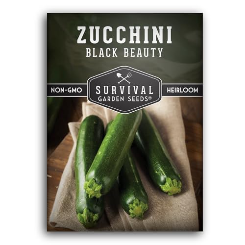 Survival Garden Seeds - Black Beauty Zucchini Seed for Planting - 1 Pack with Instructions to Plant & Grow Dark Green Summer Squash Plants in Your Home Vegetable Garden - Non-GMO Heirloom Variety