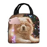💛Perfecto para llevar: no solo se puede usar como bolsa de almuerzo para la escuela o la oficina, también se puede usar como bolsa de picnic, bolsa para artículos varios, bolsa de compras, tiene conservación de calor/frío/fresco, se puede usar para empacar productos congelados. Alimentos, platos calientes, bebidas congeladas, etc. Varios patrones de moda y diseño ligero es una opción de regalo ideal para tus amigos, familiares y compañeros de trabajo.