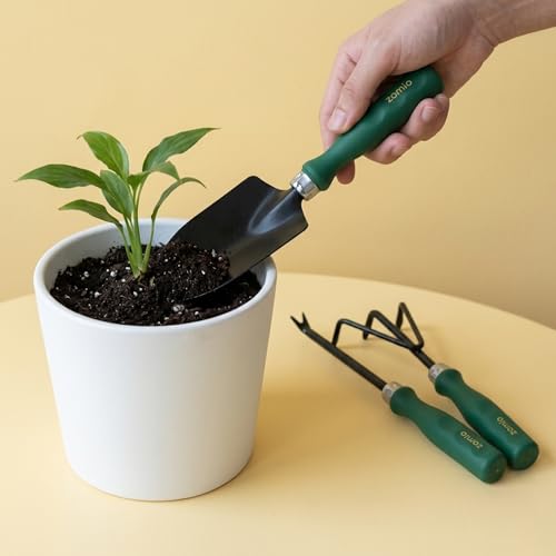 Image of Zamia Gardening Tools Kit, Set of 5, Pruner, Gloves, Trowel & More