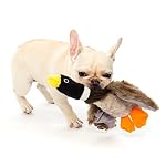 Classic Mallard Dog Toys Plush Duck Pet Squeaker Toy Squeaks Quacks Dog Training Tool, 8 inch