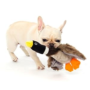 Classic Mallard Dog Toys Plush Duck Pet Squeaker Toy Squeaks Quacks Dog Training Tool, 8 inch Classic Mallard Dog Toys Plush Duck Pet Squeaker Toy Squeaks Quacks Dog Training Tool, 8 inch