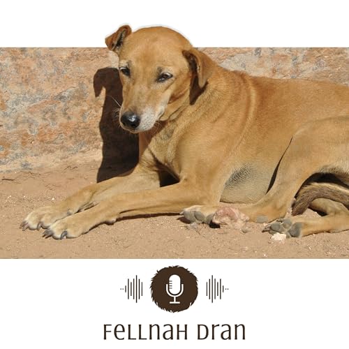 #7: Vom Stra&szlig;enhund zum Sofamops - mit Kate Kitchenham