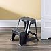 Home Basics 2-Stair Step Stool, Holds Up to 250 Lbs – Sturdy, Lightweight, Skid Resistance Rubber, Safe step stool for Adults and Kids, Black