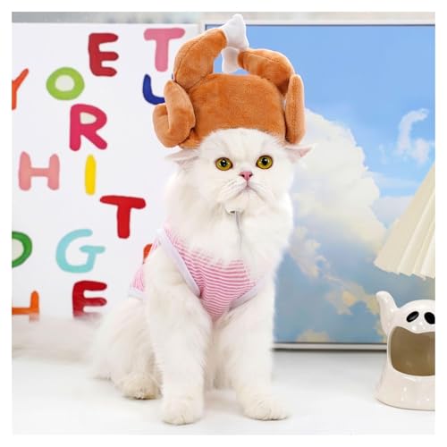 Chapeau de lapin pour chat sans stress : peluche douce patte de poulet