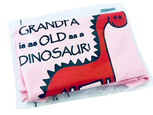 My Grandpa Is As Old As A Dinosaur - Grandpa Kids Shirt, Funny Children's Tees, Back to School Clothes, Short Sleeve (2T, Pink)2