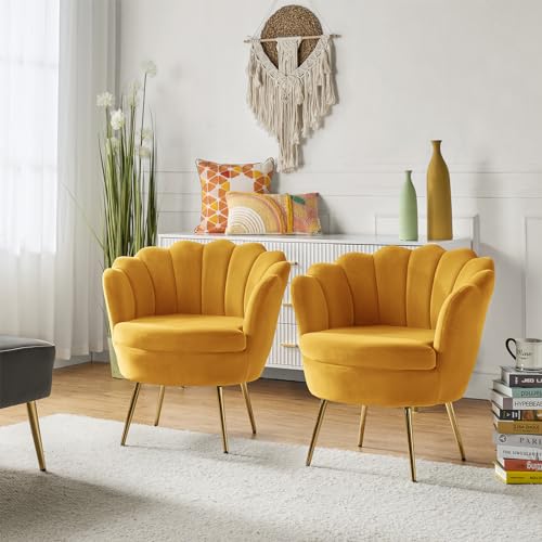 Image of HULALA HOME Velvet Accent Chairs Set of 2 with Shell Shaped Back, Modern Cute Living Room Bedroom Armchairs Sofa Chairs with Gold Legs, Comfy Upholstered Vanity Chairs for Makeup Room, Mustard