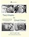 Two Weeks to Great Sleep: A Comprehensive and Incremental Guide to Helping Your Baby Sleep