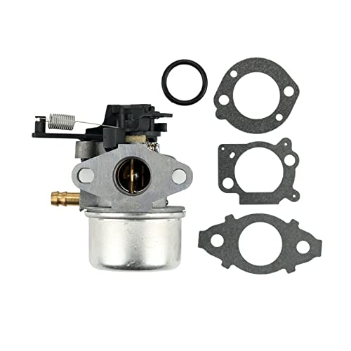 ShiShi FlowRI Nuovo carburatore Adatto per Briggs