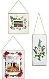 Double Glass Frame for Pressed Flowers, Leaf and Artwork - Set of 3 Hanging Picture Frames, 6x6,...