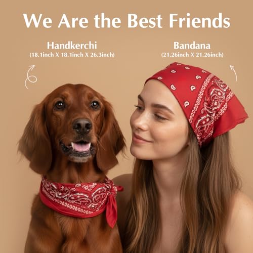 Kit Fiesta para Perros y Gatos con Sombrero y Accesorios miniatura 3