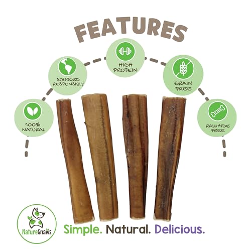 Image of Nature Gnaws Extra Large Bully Sticks for Dogs 5-6 inch (3 Count) - Thick Long Lasting for Aggressive Chewers and Heavy Chewers - Natural Beef Dog Chew Bones