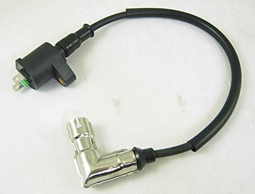 IGNITION COIL with METAL HOUSING HEAD PLUG CAP for TAOTAO 90cc 110cc 125cc 150cc 250cc ATV QUAD DIRT BIKE GO-KART