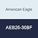 American Eagle AEB26-30BF Ball Football Burnisher, No. 26-30, 2.0/2.9mm Tip Diameter, 6.3mm Stainless Steel Double End Handle