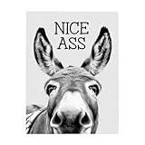 Lustige Tier-Wandkunst – abstrakter Bauernhaus-Leinwanddruck, modernes Humor-Kunstwerk, hochauflösende Druckqualität, langlebiges Leinwandmaterial, lichtbeständige Farben, leichtes, rahmenfertiges Des