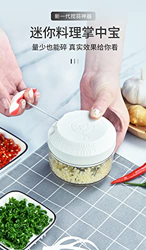 Hand Pullgarlic Mincer，Garlic Chopper Mini Food Processor Small Food Chopper Multifunction Garlic Press For Seasoning & Spice, Professional Garlic Crusher,， Ginger, Chili, Fruits, Onions(170Ml) #TOP3