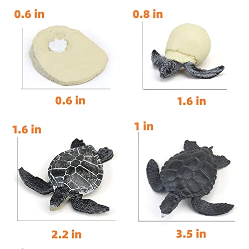 Montessori Life Cycle Animal Figures with Flash Cards, Realistic Animal Plant - Bild 21 von 71