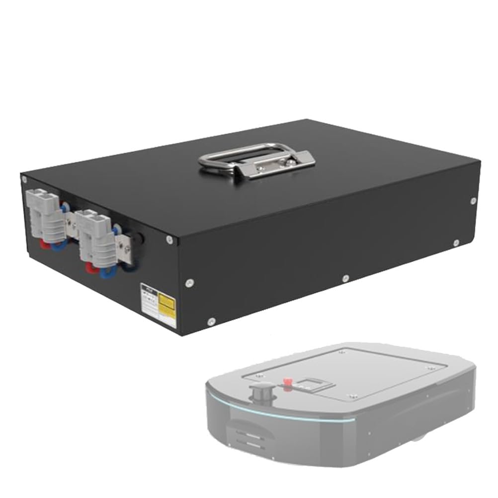 Batteria LiFePO4 48V 50Ah Batteria al litio 48V Batterie di ricambio 50Ah Batterie a ciclo profondo per trasportatore robotizzato AGV per motore 500W a 2400W con maniglia