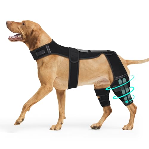 Image of Dog Knee Brace with Vest, Support Dog Acl Brace Hind Leg Torn, Adjustable Dog Rear Leg Braces for Cruciate Ligament Injury, Joint Pain Relief and Arthritis (Double, 4)