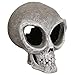 Exotic Environments Alien Skull, Small, 4-1/2-Inch by 5-1/2-Inch by 5-1/2-Inch