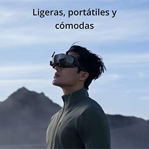 Ficha técnica DJI Goggles 2 - Fernando Cortés