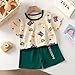 Toddler Boys Girls Cotton 𝐏ajamas Short Sleeve Tees and Shorts 𝐏a𝐣ama Set Dinosaur Print 𝐏𝗝s (Green, 18-24 Months)