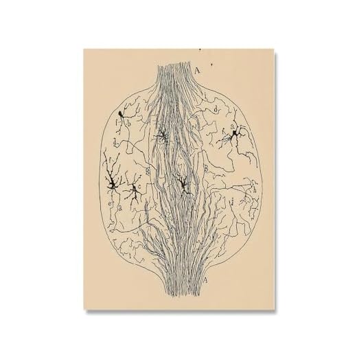 LVTFCO Santiago Ramon Y Cajal Neuron Zeichnung Poster und Drucke Retro Wandkunst Santiago Ramon Y Cajal Gemälde Leinwand Home Decor Bild 50x70cm Kein Rahmen