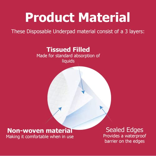 Dealmed Standard Non-Sterile Medical Underpads, 300 Count Disposable 2-Ply Tissue Fill, 24" X 17", Blue, 300 Count, Perfect For Pet Pads, Furniture Protection And More, 100 Count (3 Pack) #TOP3