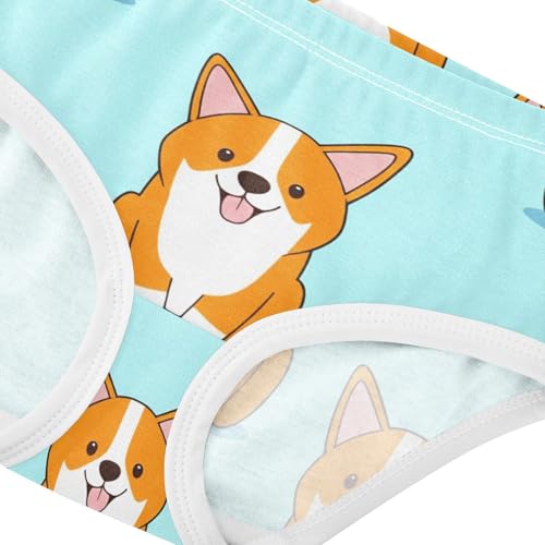 Pattern Girls Underwear Toddler 2t Cotton Girl Panties Cute Cute Cartoon Corgi Dogs Light Blue Briefs Kids Undies4