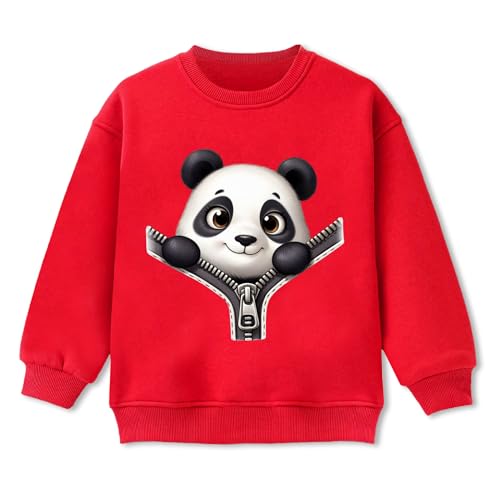 Image of TS LAVI TAVI Kids Winter Sweatshirt, Full Sleeve, Unisex, Fleece Material