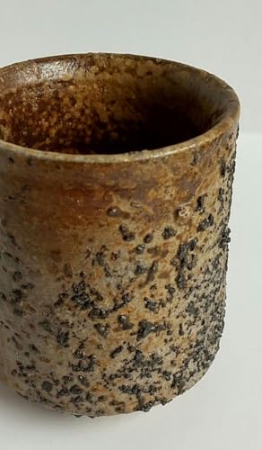 ���O�� ���� �����ۂ� �q�ϊD��� ���