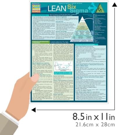QuickStudy Lean Six Sigma - Quick Study