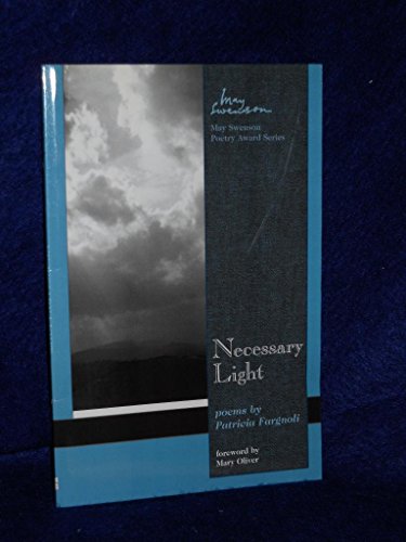 Necessary Light view 2