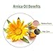 salvia Arnica (Arnica Montana) Therapeutic Essential Oil by Salvia Amber Bottle 100% Natural Uncut Undiluted Pure Cold Pressed Aromatherapy Premium Oil (0.51 Fl Oz (Pack of 1))